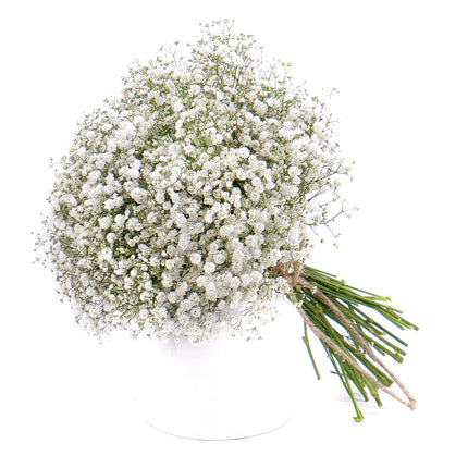 Kytice gypsophila