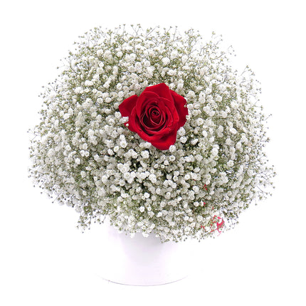 Kytice gypsophila a červená růže