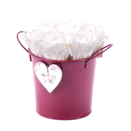 In eterno plechový kbelík 8 krémových růží