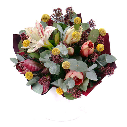 Sweet barevné amarylisy a skimmie