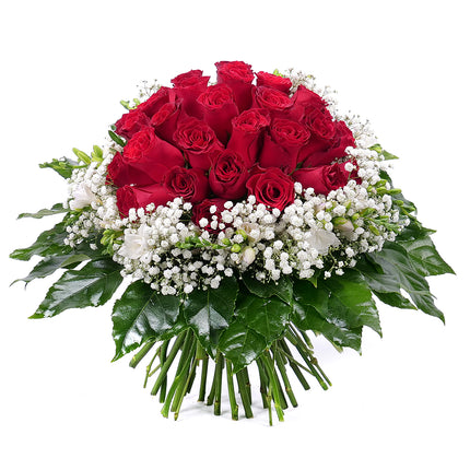 Elite červené růže, frézie a gypsa