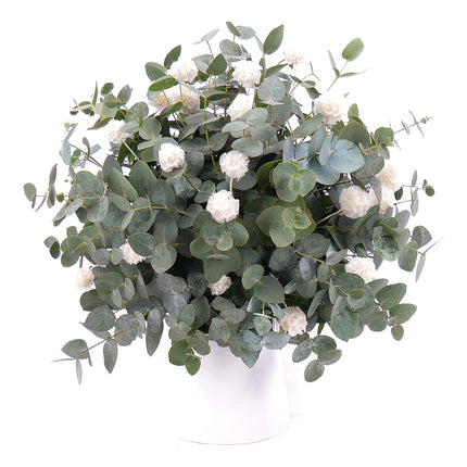 Kytice eukalyptus In eterno bílá scabiosa