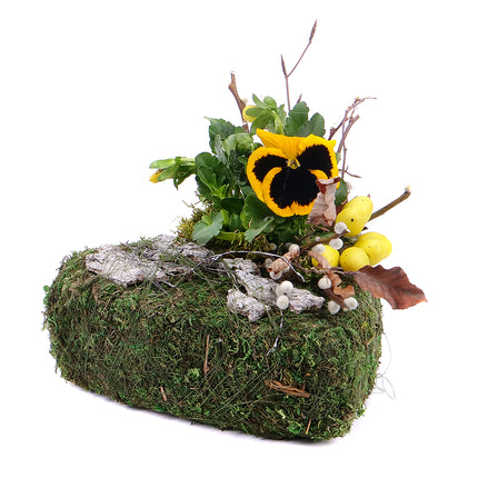 Irigo smuteční aranžmá mechové srdce violka