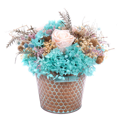 In eterno plechové vedierko tri krémové ruže