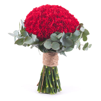 Perla červené karafiáty