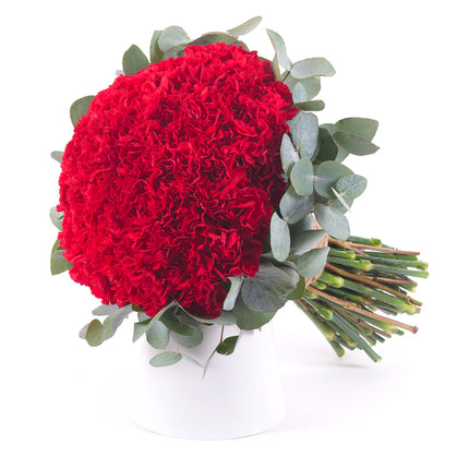 Perla červené karafiáty