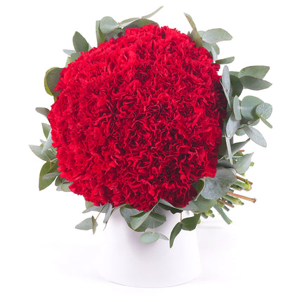 Perla červené karafiáty