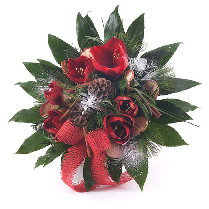 Perla červený amarylis