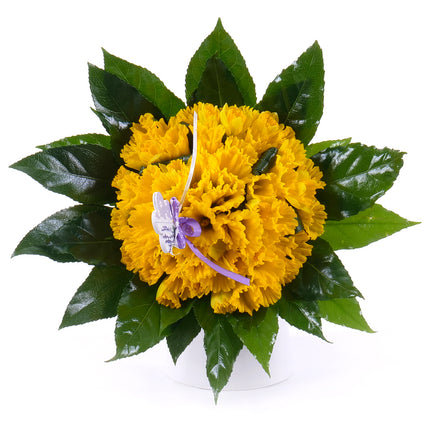 Perla žlté narcisy