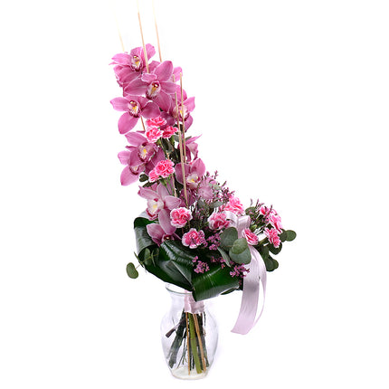 Orchidej růžová na vysoko