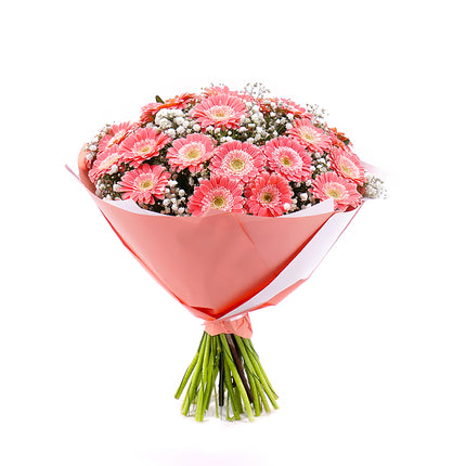 Sweet meruňkové gerbery Chica s gypsophilou