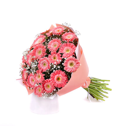 Sweet meruňkové gerbery Chica s gypsophilou