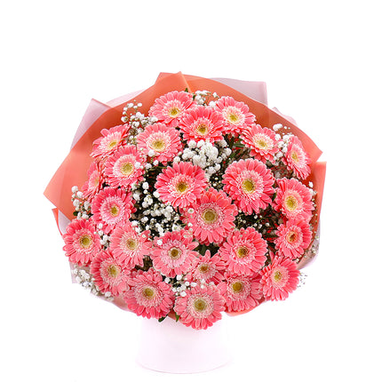 Sweet meruňkové gerbery Chica s gypsophilou