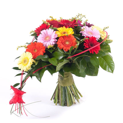 Srdce barevné minigerbery