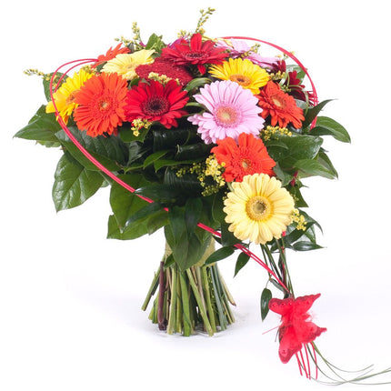 Srdce barevné minigerbery