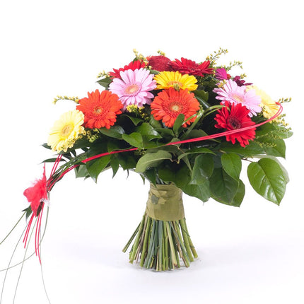 Srdce barevné minigerbery