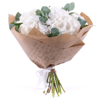 Sweet bílé hortenzie