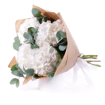 Sweet bílé hortenzie