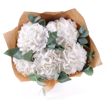 Sweet bílé hortenzie