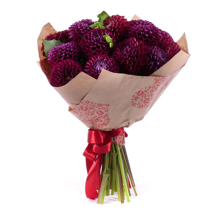 Sweet bordové dáhlie