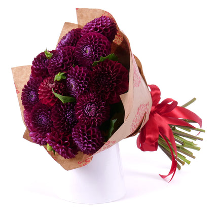 Sweet bordové dáhlie