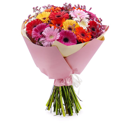 Sweet barevné gerbery