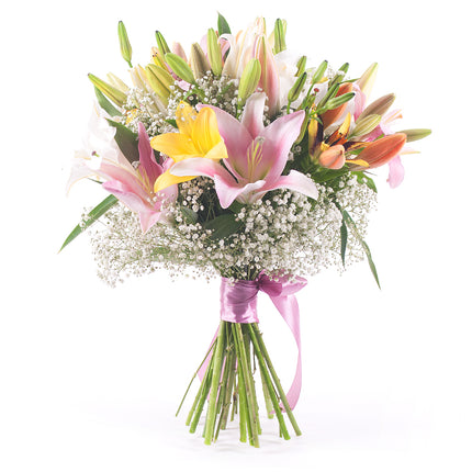 Sweet barevné lilie