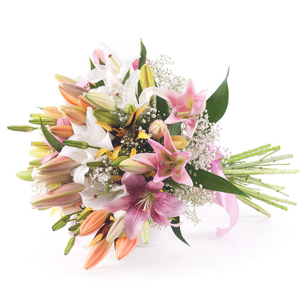 Sweet barevné lilie