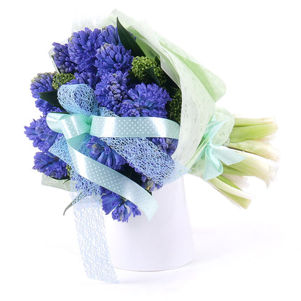 Sweet modré hyacinty