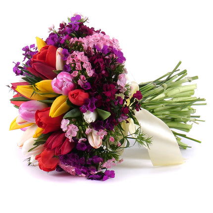 Sweet barevné tulipány a hřebíček