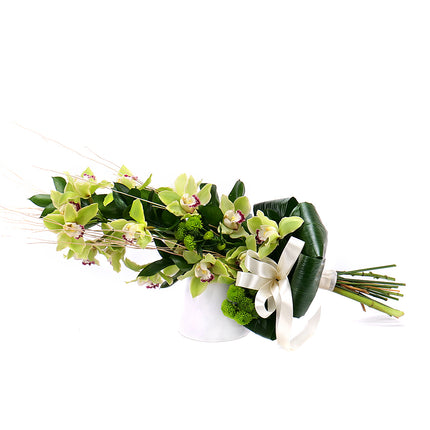 Orchidej zelená na vysoko