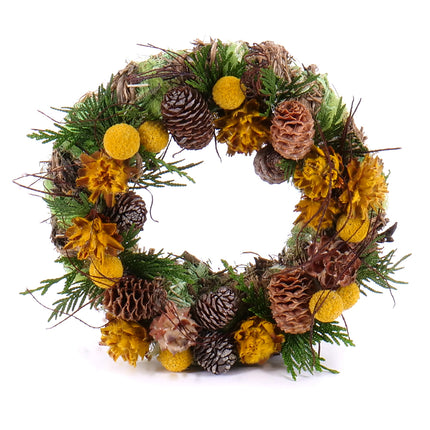 Irigo zelený veniec žlté sušené plody