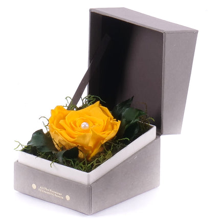 In eterno šedý štvorec FOR YOU žltá ruža
