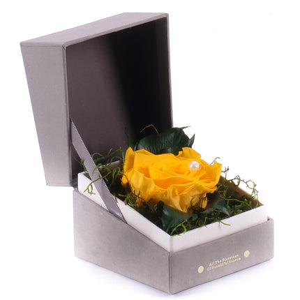 In eterno šedý štvorec FOR YOU žltá ruža